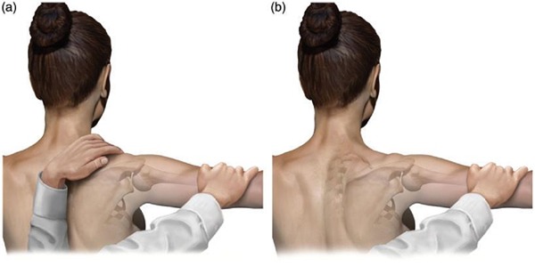 Scapula retraction test with resistance