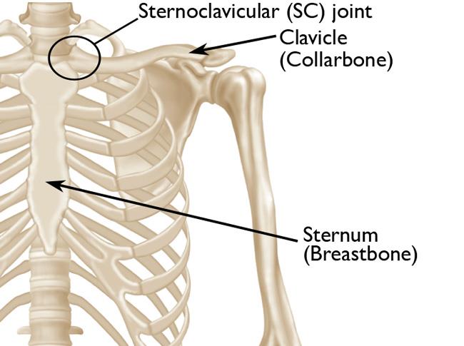 Sternoclavicular_Joint_Strain